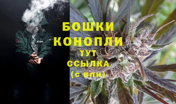 крисы Алзамай